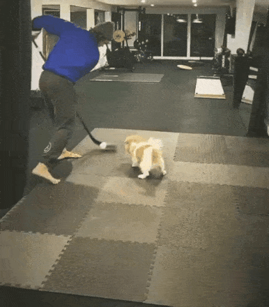 Acid Gifdump, January 6 (25 gifs)
