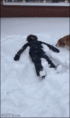 Acid Gifdump, January 6 (25 gifs)