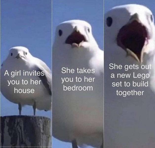 Wholesome Memes (38 pics)