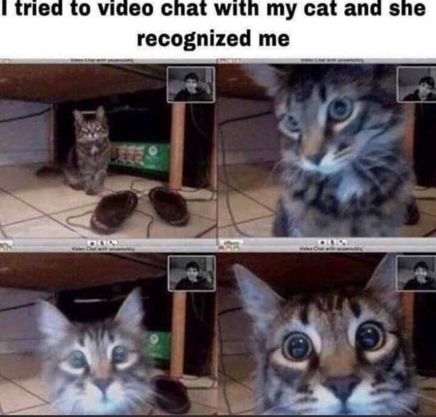 Wholesome Memes (38 pics)