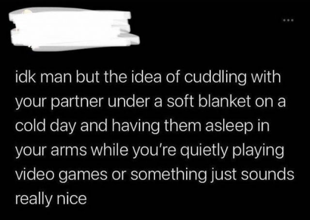 Wholesome Memes (38 pics)