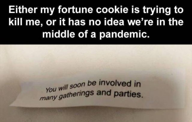 Random Funny Memes (73 pics)