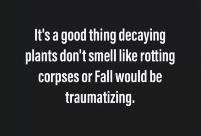 Random Funny Memes (73 pics)