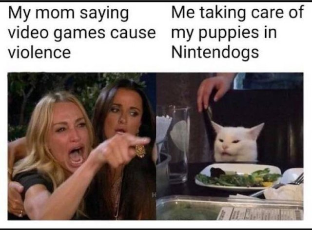 Woman Yelling At The Cat Memes (17 pics)