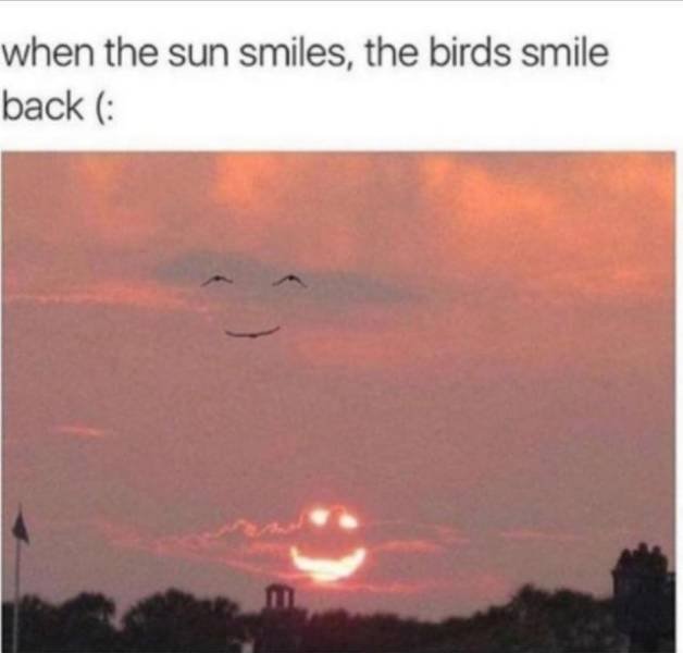 Wholesome Memes (38 pics)
