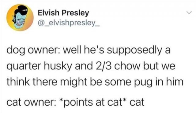 Funny Tweets (29 pics)