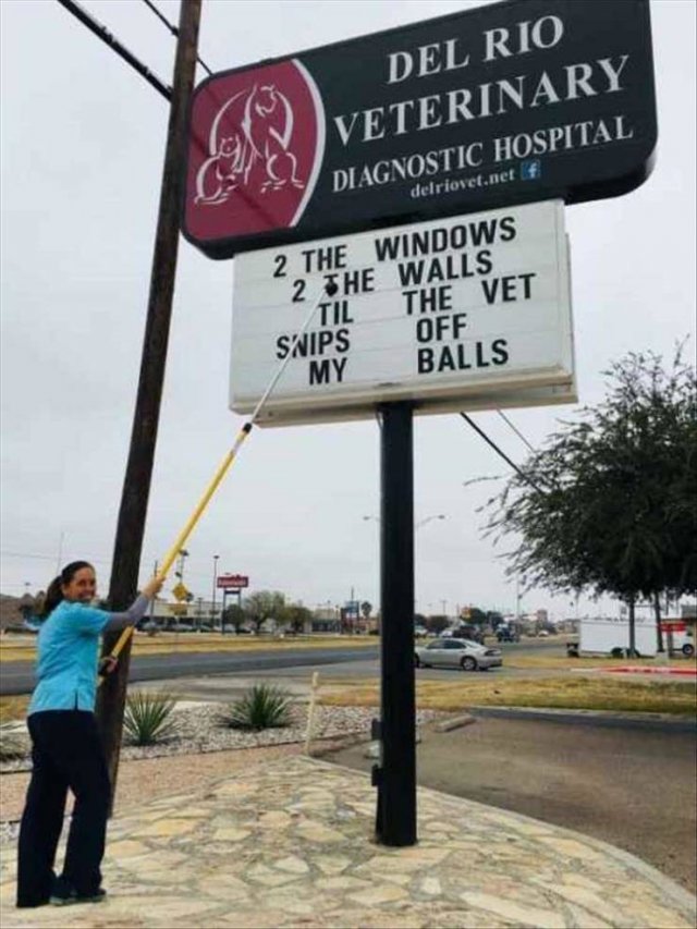 Random Funny Memes (73 pics)
