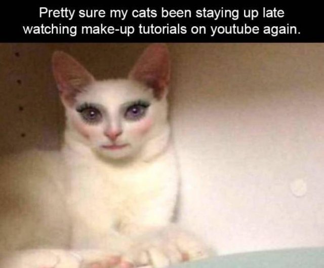 Random Funny Memes (73 pics)