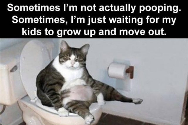 Random Funny Memes (73 pics)