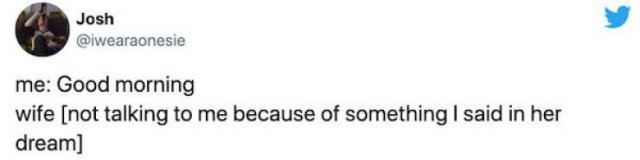 Married Life Tweets (32 pics)