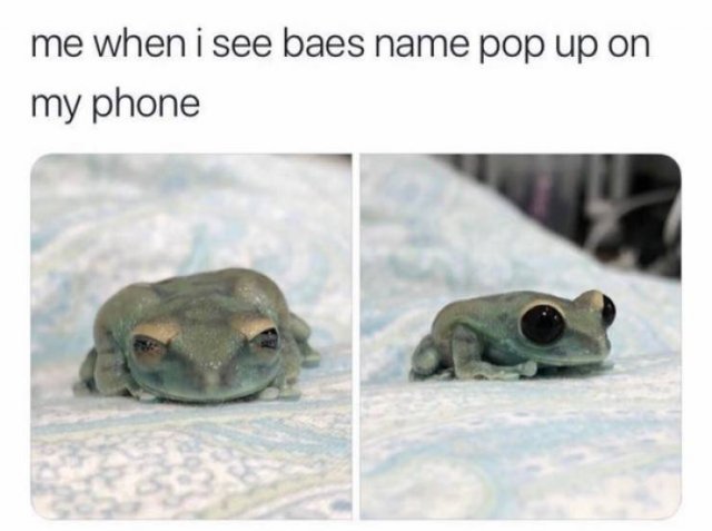 Wholesome Memes (38 pics)