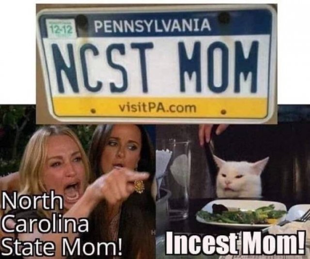 Woman Yelling At The Cat Memes (17 pics)