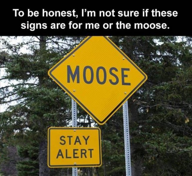 Random Funny Memes (73 pics)