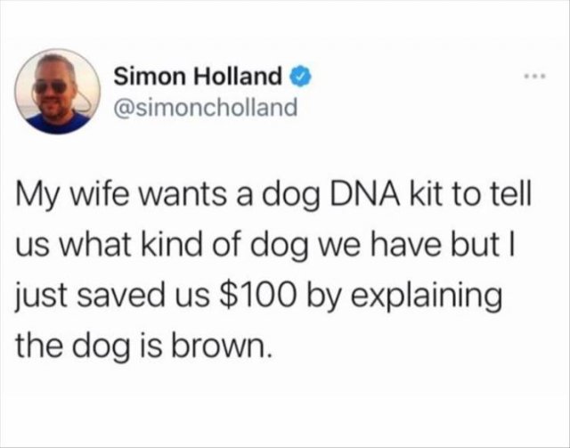 Funny Tweets (29 pics)
