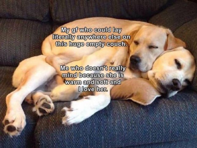 Wholesome Memes (38 pics)