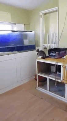 Fails (31 gifs) Fails (31 gifs)