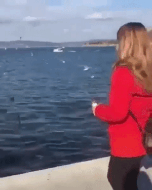 Fails (31 gifs) Fails (31 gifs)