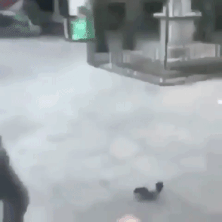 Fails (31 gifs) Fails (31 gifs)