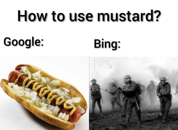 History Memes (30 pics)