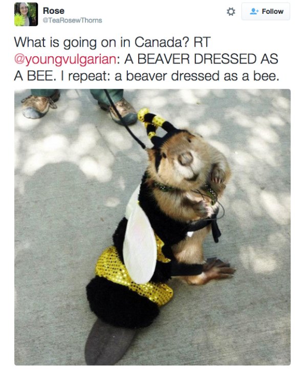 Only In Canada (26 pics)