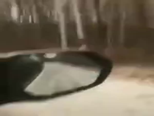 Siberian Tiger Camouflage