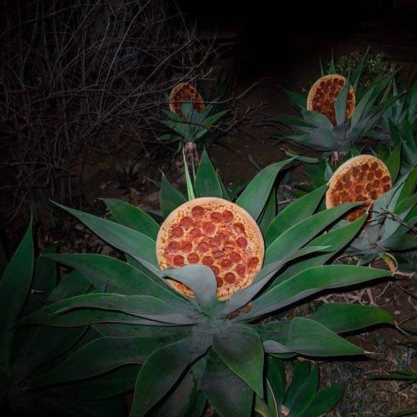 Acid Picdump. Part 1 (91 pics)