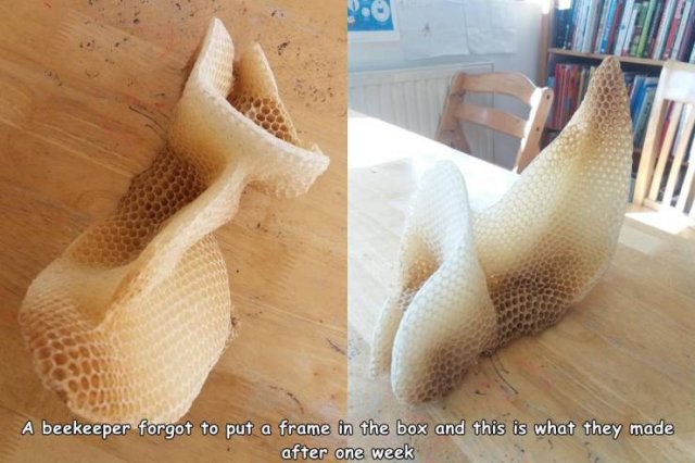 Acid Picdump. Part 1 (91 pics)