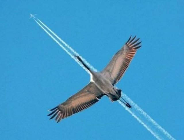 Acid Picdump. Part 1 (91 pics)