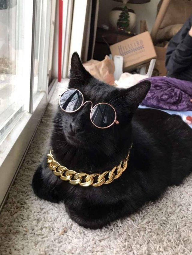 Acid Picdump. Part 1 (91 pics)