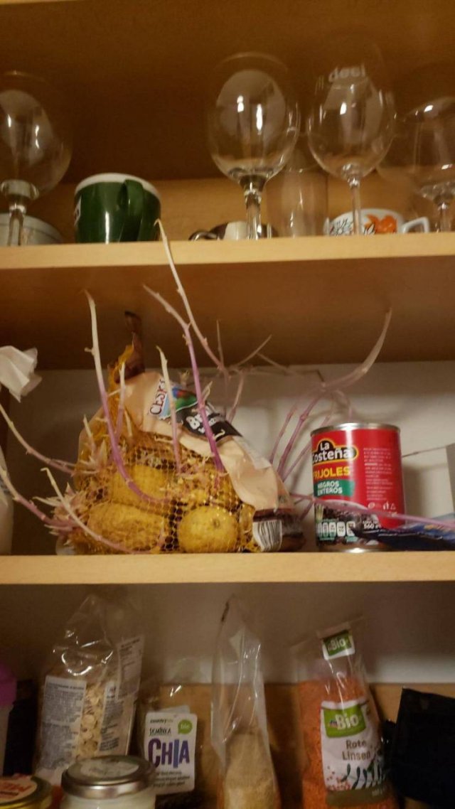 Acid Picdump. Part 1 (91 pics)