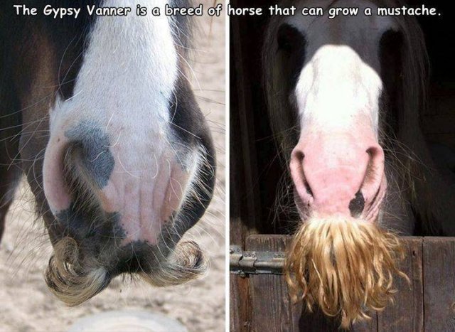 Acid Picdump. Part 1 (91 pics)