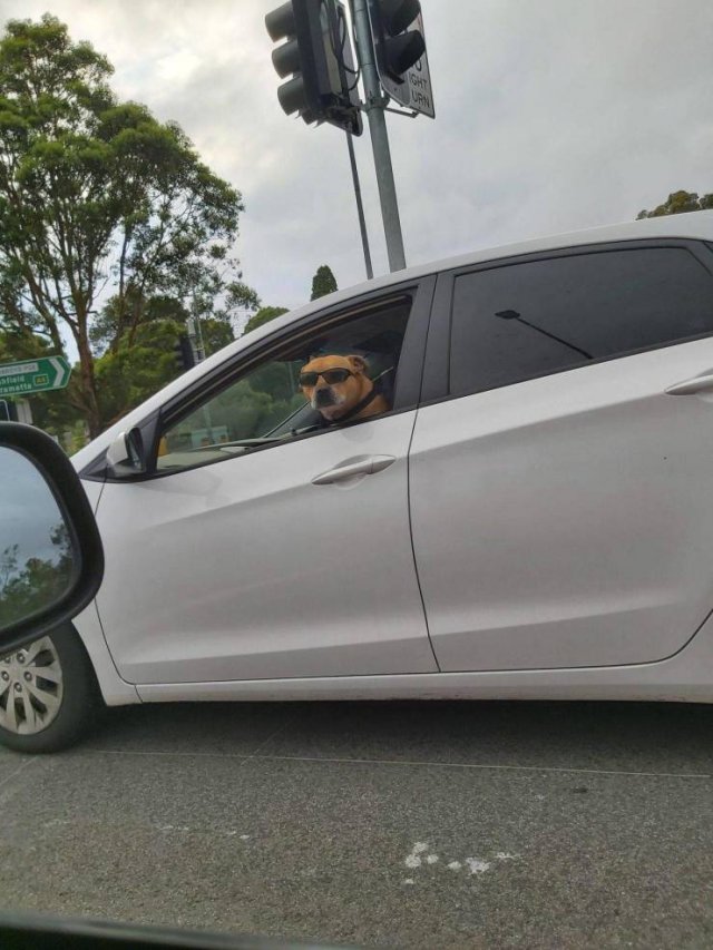Acid Picdump. Part 1 (91 pics)