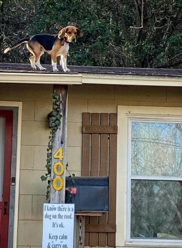 Acid Picdump. Part 1 (91 pics)