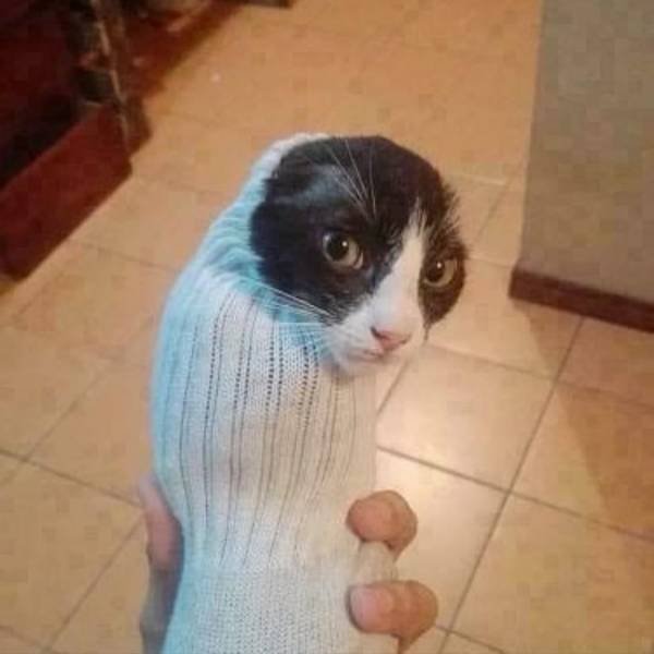 Acid Picdump. Part 1 (91 pics)