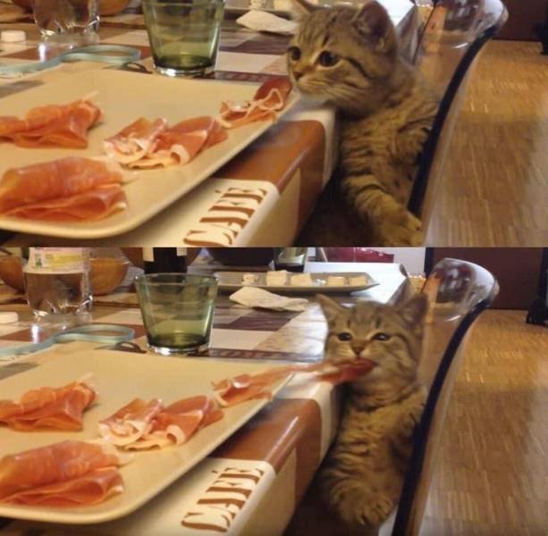 Acid Picdump. Part 1 (91 pics)