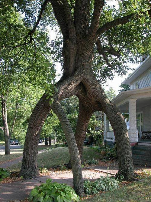 Acid Picdump. Part 2 (87 pics)