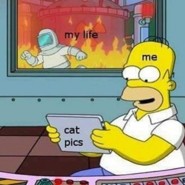 Hilarious Memes (35 pics)