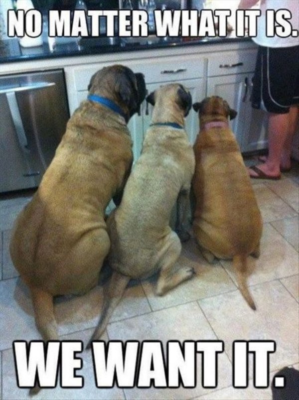 Hilarious Memes (35 pics)