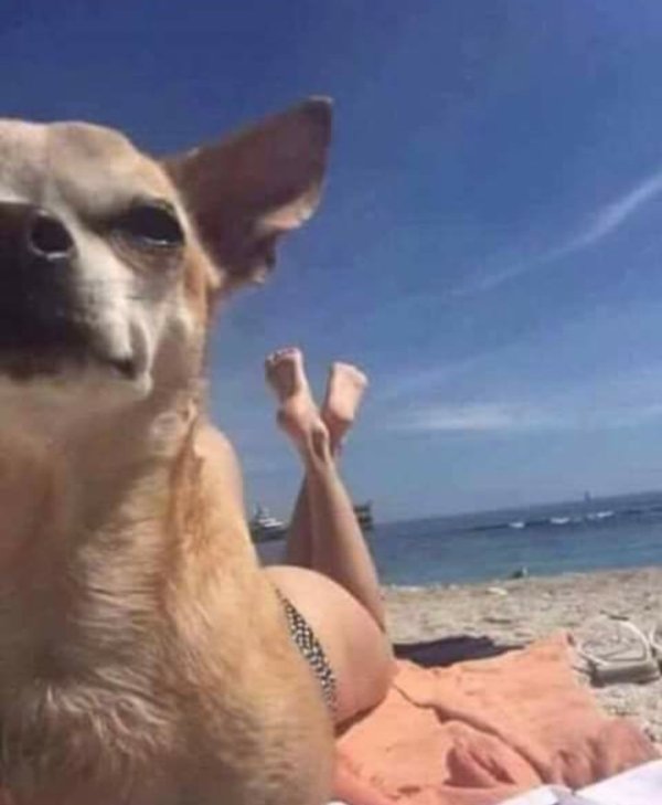 Hilarious Memes (35 pics)