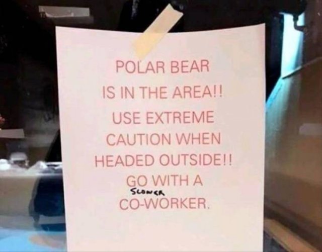 Random Funny Memes (145 pics)
