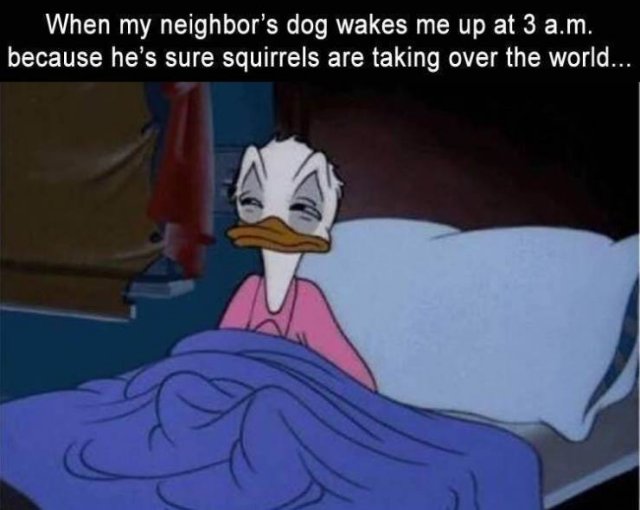 Random Funny Memes (145 pics)