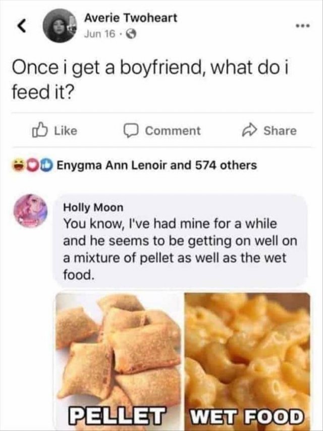 Random Funny Memes (145 pics)