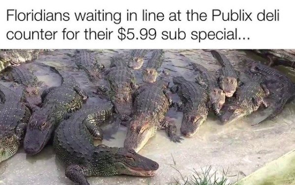 Florida Memes (31 pics)