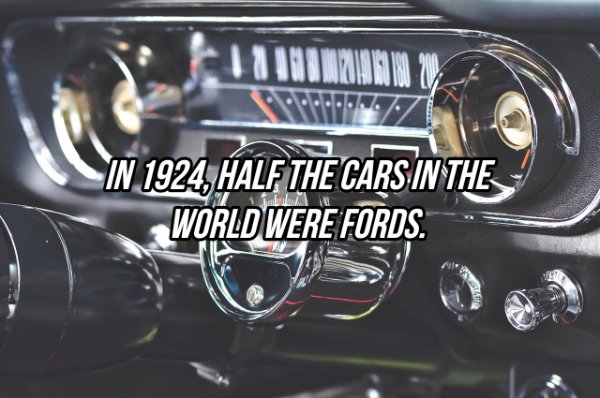 Interesting Facts (24 pics)