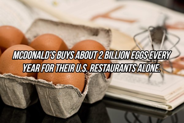 Interesting Facts (24 pics)