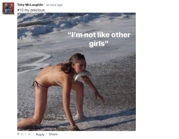 Sarcastic Comments (51 pics)