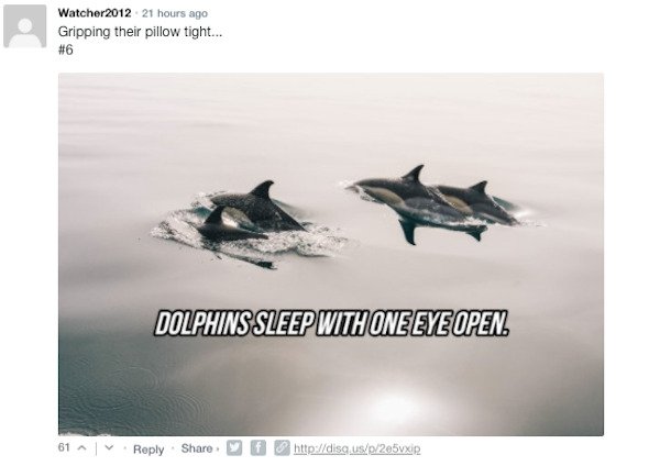 Sarcastic Comments (51 pics)
