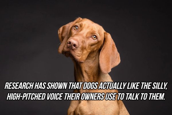 Interesting Facts (24 pics)