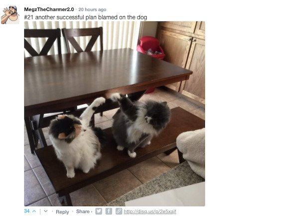 Sarcastic Comments (51 pics)
