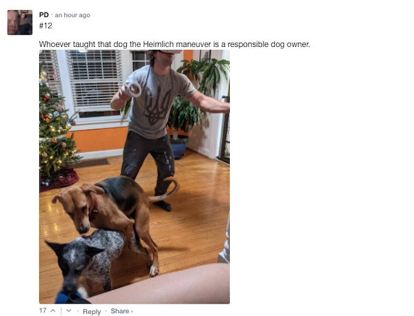 Sarcastic Comments (51 pics)